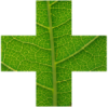 Billericay Herbal Medicine logo